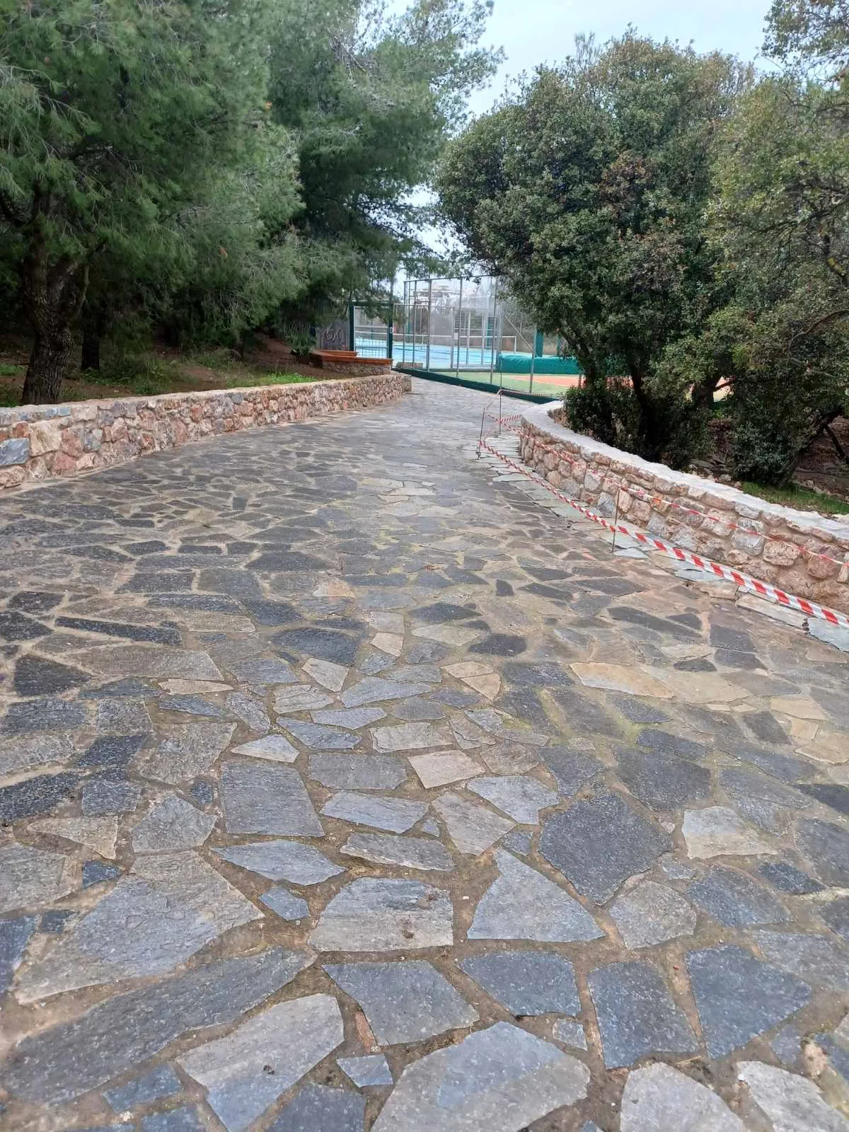 Πέτρινο μονοπάτι σε φυσικό τοπίο